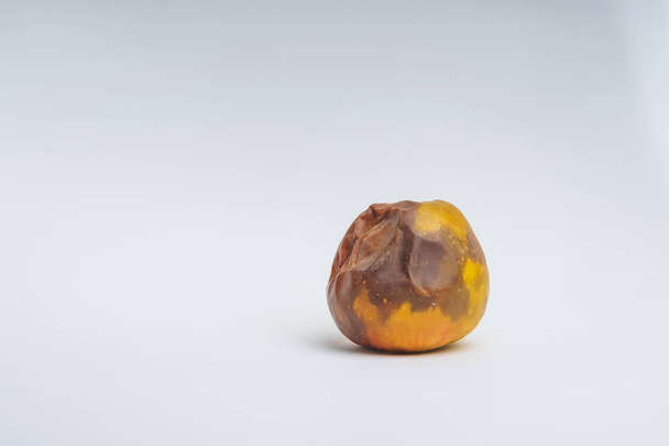 Rotten yellow apple on a white background. Crumpled dried apple with brown spots. Spoiled old apple. Improper storage of fruit. - Photo, Image