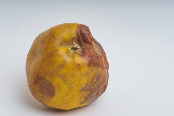Rotten yellow apple on a white background. Crumpled dried apple with brown spots. Spoiled old apple. Improper storage of fruit. - Photo, Image