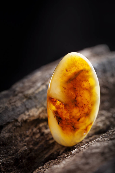 âmbar natural. Um pedaço de âmbar natural amarelo opaco em grande pedaço de madeira escura apedrejada
. - Foto, Imagem