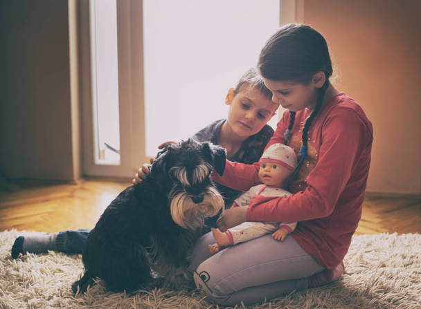A kutyával játszó gyerekek a szőnyegen - Fotó, kép