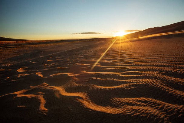 Beautiful sand dunes in the desert - Fotó, kép