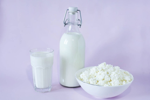 Fresh cottage cheese and milk for breakfast in a glass bottle and a glass of milk in the center of the frame on a lavender background - Foto, Bild