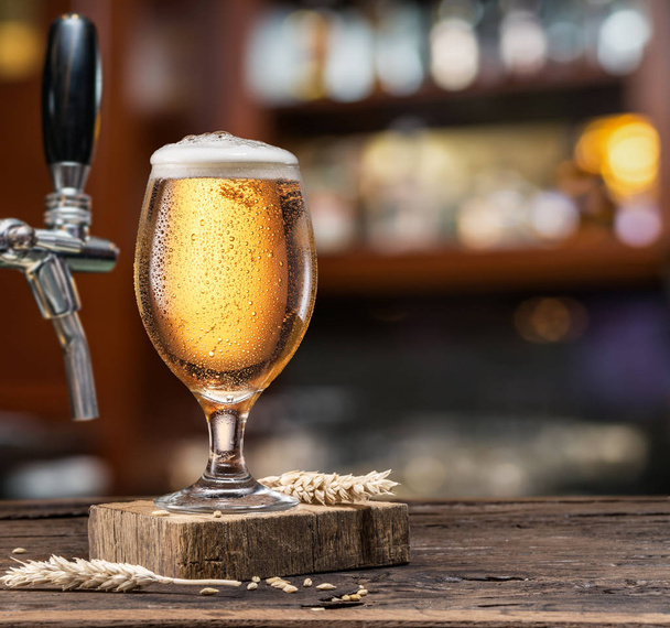 Chilled glass of light beer on the bar counter. - Foto, Imagem