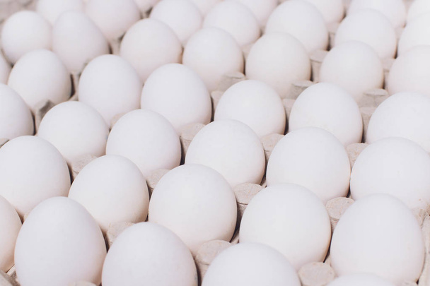 White eggs of a hen in harmless, cardboard packing on a white background. - Foto, imagen