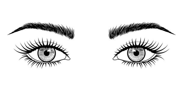 Vector black and white hand-drawn image of eyes with eyebrows and long eyelashes. Fashion illustration. EPS 10. - Vector, Image