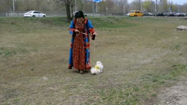 Zarif yetişkin kadın onun PET ile yürür-küçük bir beyaz Pekin köpeği ve bir tasma onu götürür. - Video, Çekim