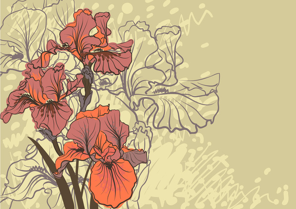 Vector decorative designs of iris flowers - Вектор,изображение