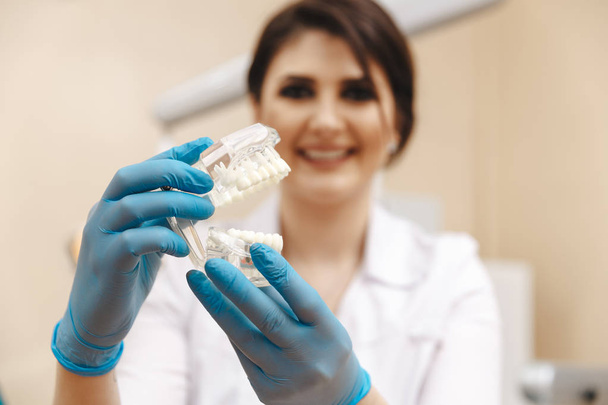 Young female dentist holding dental jaw model isolated on - Foto, Bild
