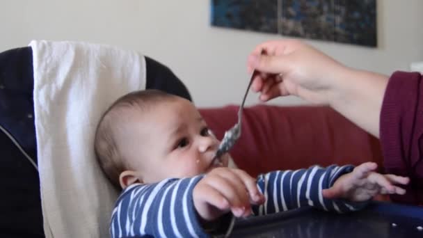Hungry baby doesnt have patient to wait for food. Mother feeding six months old baby boy in the highchair - Footage, Video