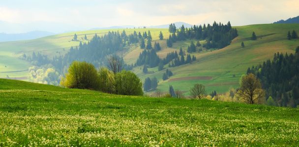 Spring landscape with Multicolored diagonal in the Carpathian mo - Foto, Bild