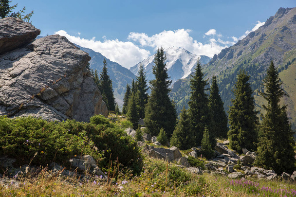 Reliefs of the mountains of Kazakhstan and coniferous trees on a warm day - Foto, Imagen