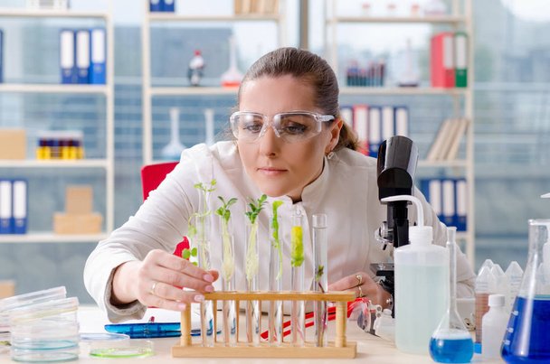 Female biotechnology scientist chemist working in the lab  - Фото, изображение