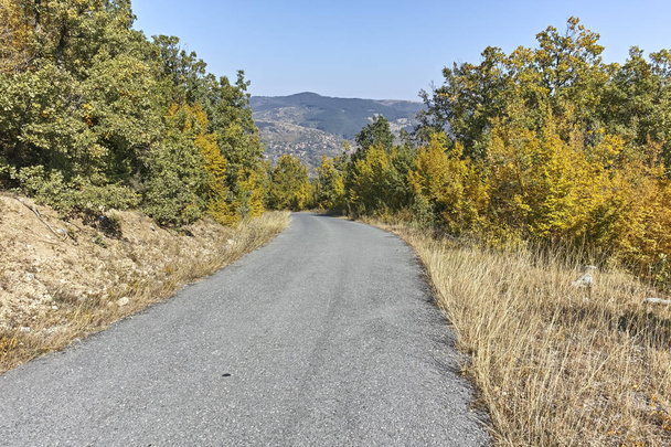 Удивительный осенний пейзаж горы Руен - северная часть горы Влахина, Кюстендил, Болгария
 - Фото, изображение