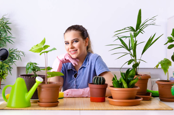 Young female gardener with plants indoors  - Фото, зображення