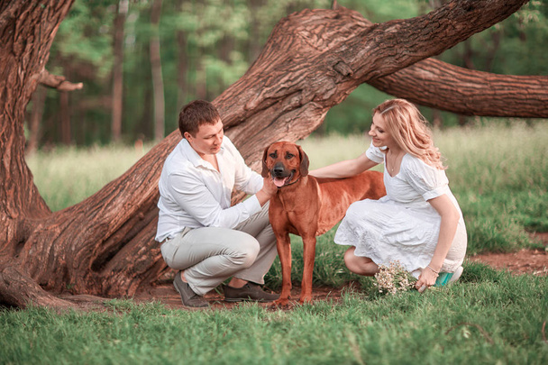 young family with their pet near the old spreading tree. - Foto, afbeelding