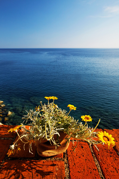 Monterosso al mare, cinque terre, Itálie, Evropa - Fotografie, Obrázek