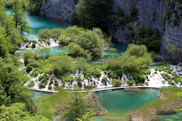Plusieurs petites chutes d'eau dans la partie inférieure du parc national des lacs de Plitvice divisant différents lacs avec des arbres forestiers poussant entre eux
 - Photo, image