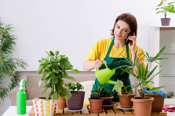 Vrouwelijke tuinman met planten binnenshuis  - Foto, afbeelding