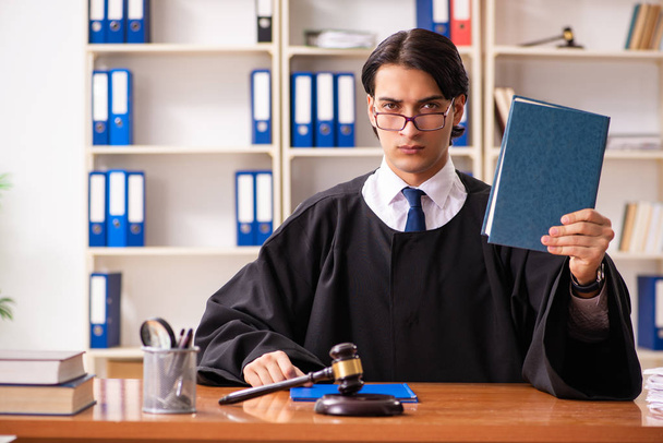 Молодий красивий суддя працює в суді
  - Фото, зображення