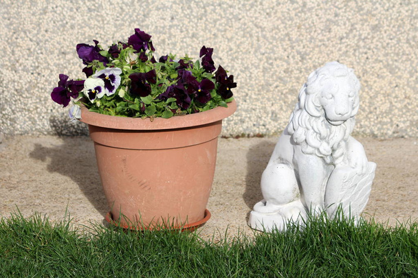 Biała rzeźba betonu potężnego Lwa trzyma tarczę obok ceramicznego doniczki wypełnionego bicolor dzikich kwiatów na krawędzi betonowej ścieżce otoczonej uncut trawy na ciepły słoneczny dzień - Zdjęcie, obraz