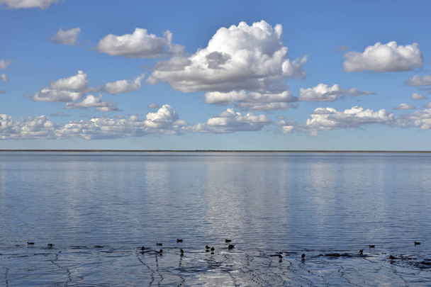 kalme blauwe hemel met witte wolken boven de zee met eenden in de kust - Foto, afbeelding
