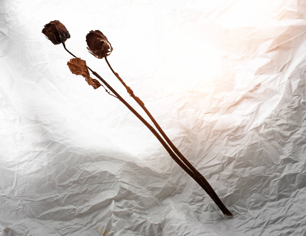 Dried roses put on grunge surface background,warm light tone,blurry light around - Photo, Image