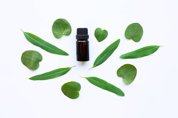 Eucalyptus essential oil with leaves on white - Фото, зображення