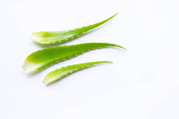 Aloe vera fresh leaves on white. Copy space - Photo, Image