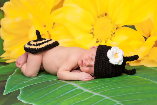 Newborn girl wearing a black and yellow crocheted bumblebee costume sleeping on a yellow flower background. - Zdjęcie, obraz