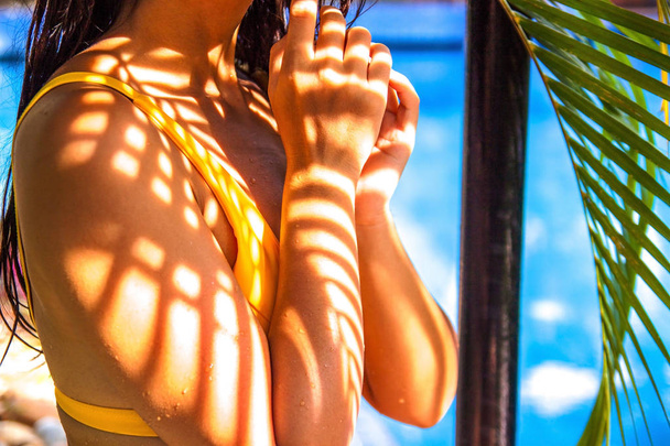 Seksikäs nainen bikineissä uimapuku taiteellinen palmunlehti varjo kuvio rungossa. Vartalonhoidon käsite
.  - Valokuva, kuva