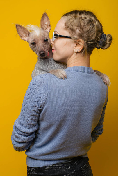 眼鏡とセーターの若い女の子が彼女の中国のトキ犬を抱擁 - 写真・画像