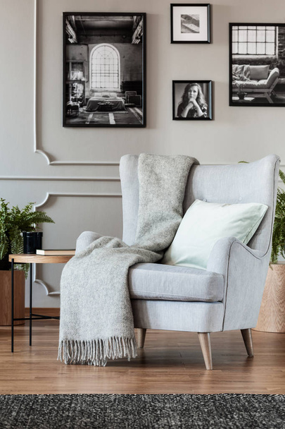Cómodo sillón gris con manta acogedora y almohada en el interior de la sala de estar de moda con carteles en blanco y negro en la pared
 - Foto, imagen