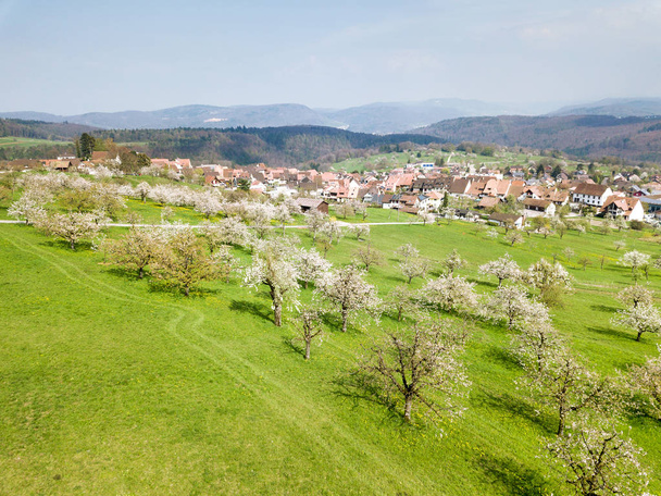 Aerial view of the Swiss village Nuglar with blooming orchard garden over the hill - Фото, изображение