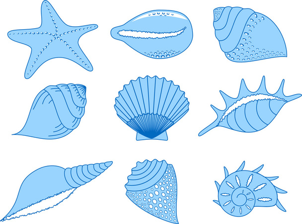 The collection of the cockleshells - Vector, Image