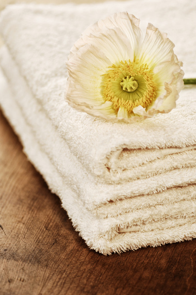 Beauty arrangement, towels with white flower - Photo, Image