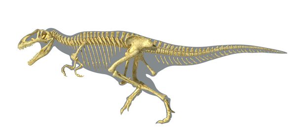 Gigantosaurus dinosaurus esqueleto fotorealista completo, en el cuerpo
 - Foto, Imagen