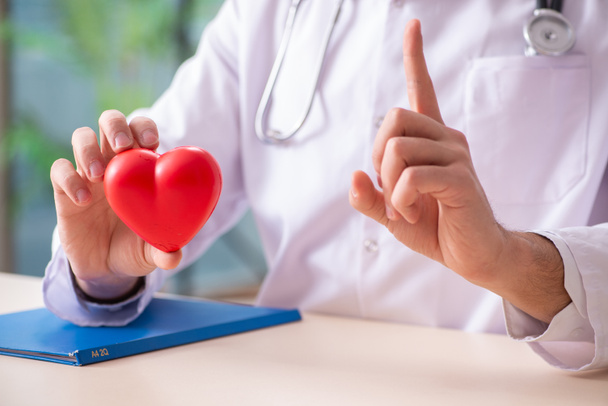 Мужчина-кардиолог держит модель сердца
  - Фото, изображение