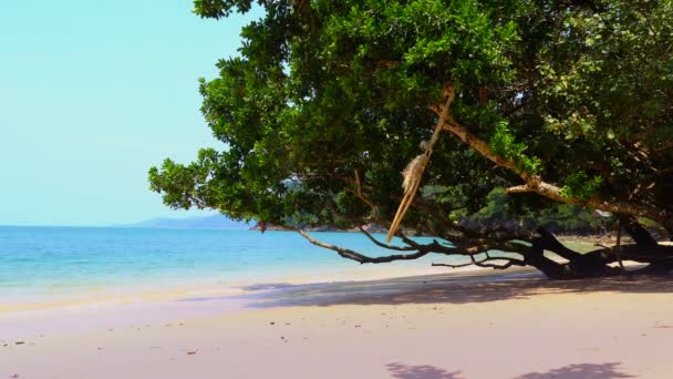 колыбель качели под большим деревом в Kwangpeeb пляж Phayam остров Ранонг Таиланд
 - Кадры, видео