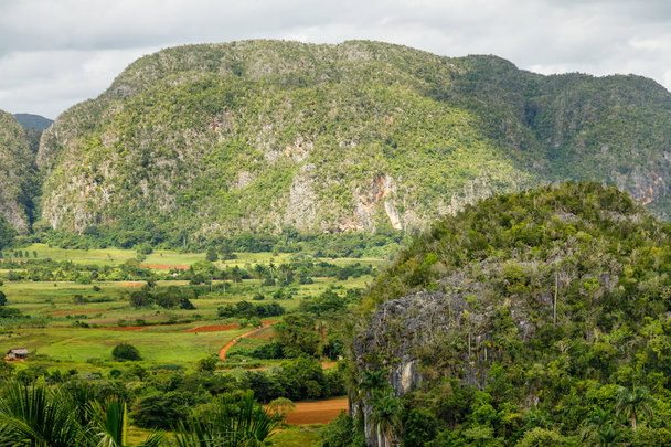Green caribbean valley with mogotes hills landscape, Vinales, Pi - Foto, Imagen