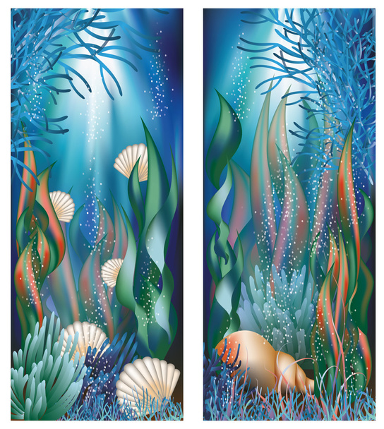 Underwater banners with cockleshells, vector - Διάνυσμα, εικόνα