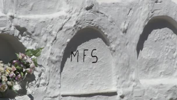 Whitewashed white tombs in the round cemetery in Sayalonga - Footage, Video