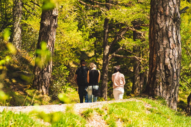 Three persons man and two woman’s walking through forest - Photo, Image
