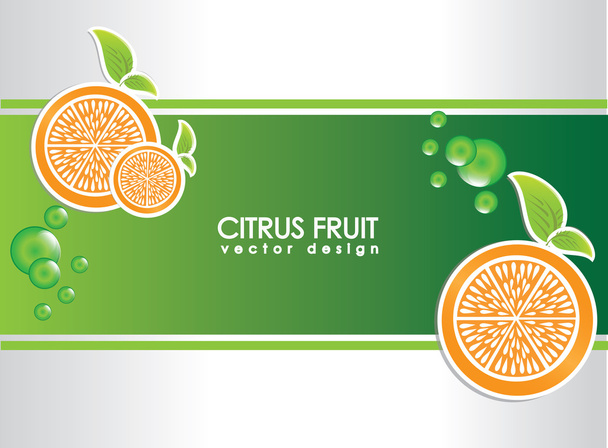 citrus fruit - Vector, Image