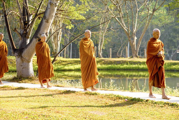 meditation in a Buddhist monastery, Thailand, Wat Luang, April 2019 - Photo, Image
