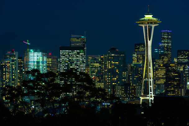 Noční pohled na panorama Seattlu s kosmickou jehlou a dalšími ikonickými budovami v pozadí. - Fotografie, Obrázek