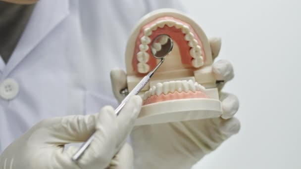 Zahnarzt zeigt der Kamera, wie man ein Werkzeug benutzt. Zahnarzt zeigt Kiefermodell, erteilt Unterricht über richtige Zähne und Mundhöhlenpflege. - Filmmaterial, Video