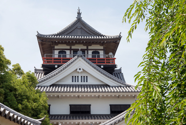 Japon kale - Fotoğraf, Görsel