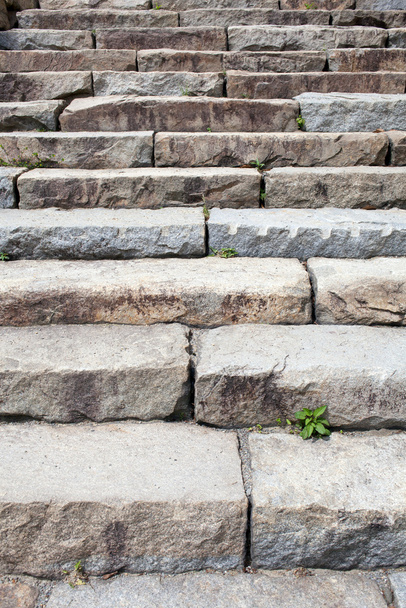 Old stone stairs - Фото, зображення