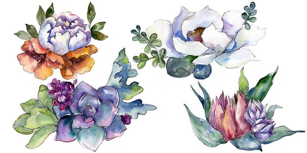 Bouquets flores botânicas florais. Conjunto de ilustração de fundo aquarela. Isolado buquê elemento ilustração
. - Foto, Imagem