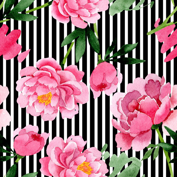 Różowa piwonia kwiat kwiatowy botanicznych. Zestaw ilustracji tle akwarela. Bezszwowe tło wzór. - Zdjęcie, obraz
